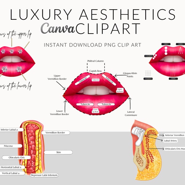 Aesthetics Anatomy PNG Clipart, Dermal Filler, Lip Filler, Instant Download