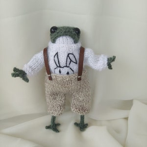 Froggie, amigurumi frog with clothes, frog sweater, gift for kids, knit frog, finished toy, crochet, mother's day