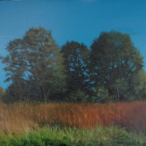 Autumn Field