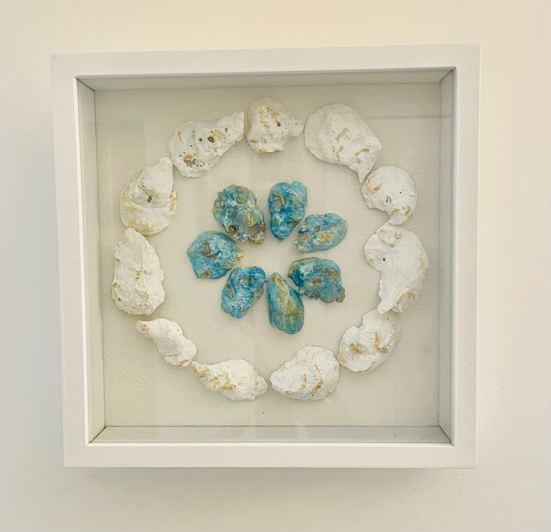 Oyster Shell Shadow Box, 10x10 - Etsy