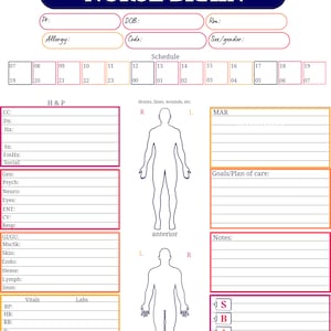May include: A printable nurse brain chart with sections for patient information, vital signs, labs, and a body outline for recording observations. The chart includes a schedule, a section for medications, and a space for goals and plan of care.