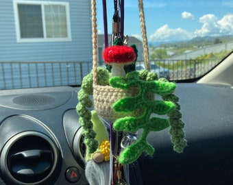 Rearview Mirror Hanging Plant Crochet Pattern