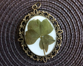 Real Five leaf Clover, 5 leaf clover charm, Lucky clover necklace, Pressed jewelry, Good luck gift, Nature locket, St. Patricks Day jewelry