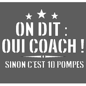Plaque Coach Sport