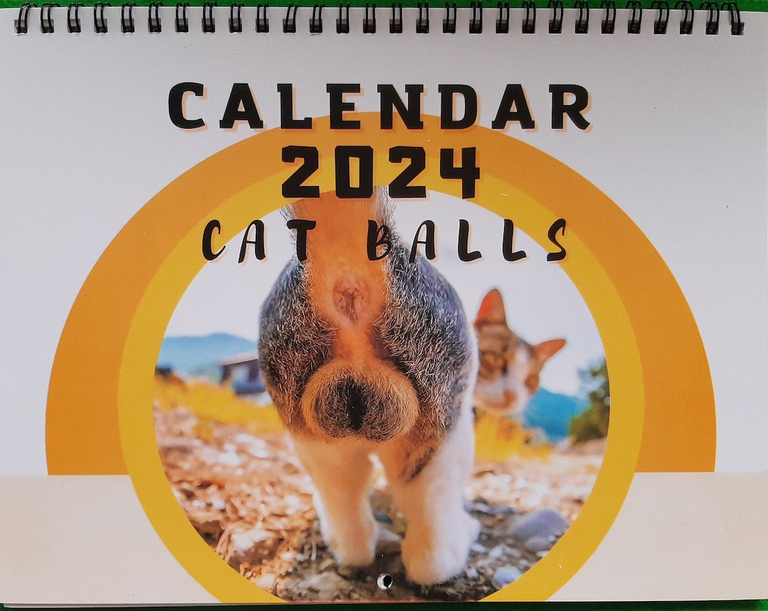 2025 Year Cat Balls Calendar, Funny Cat Calendar, Essential Gifts for