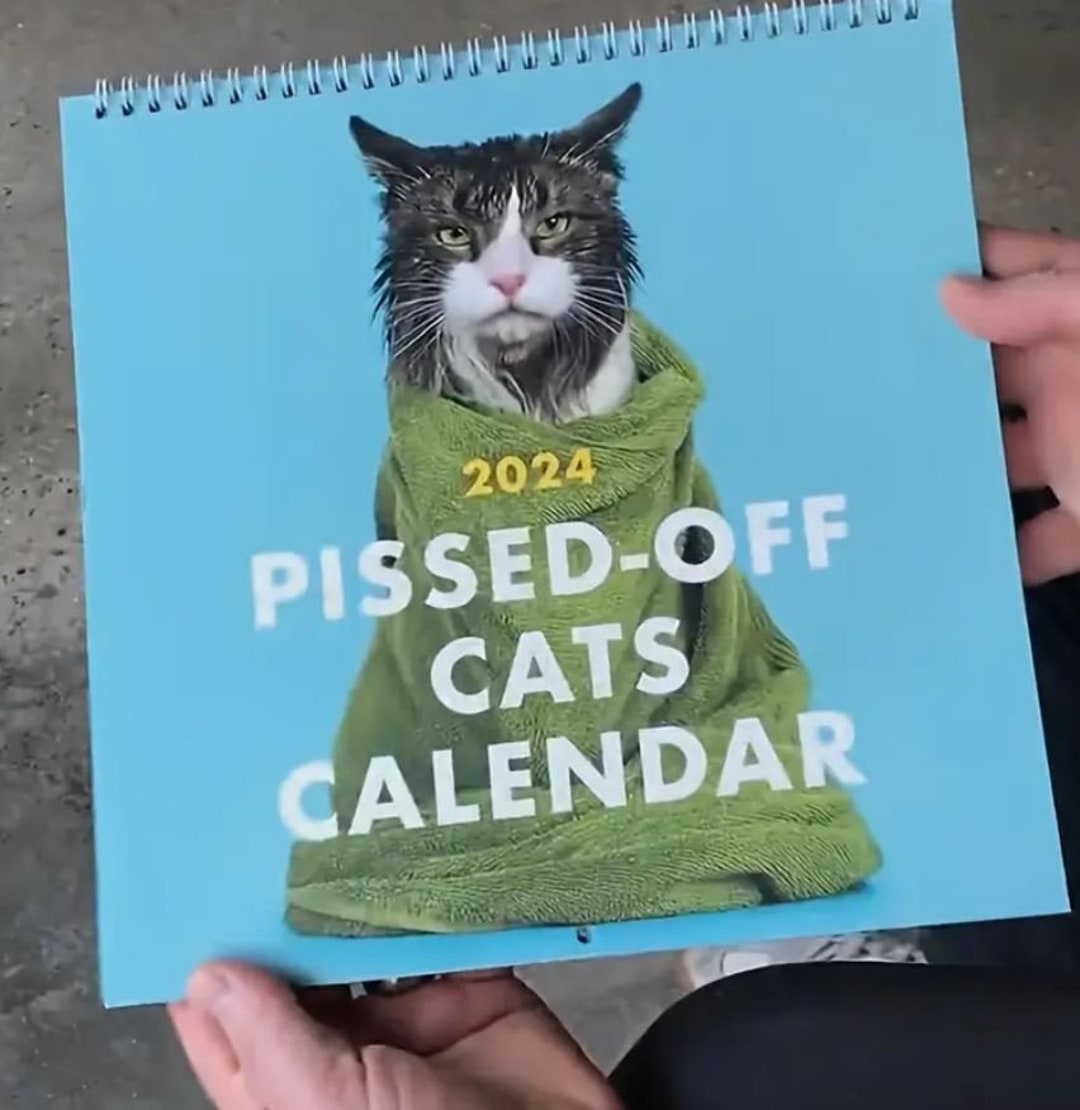 2024 Pissedoff Cats Calendar Funny Cat Wall Calendar for Cat Etsy UK