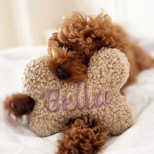 Personalized Dog Toy: Embroidered Bone, Teddy Sherpa Plush, Squeaky Pet Gift
