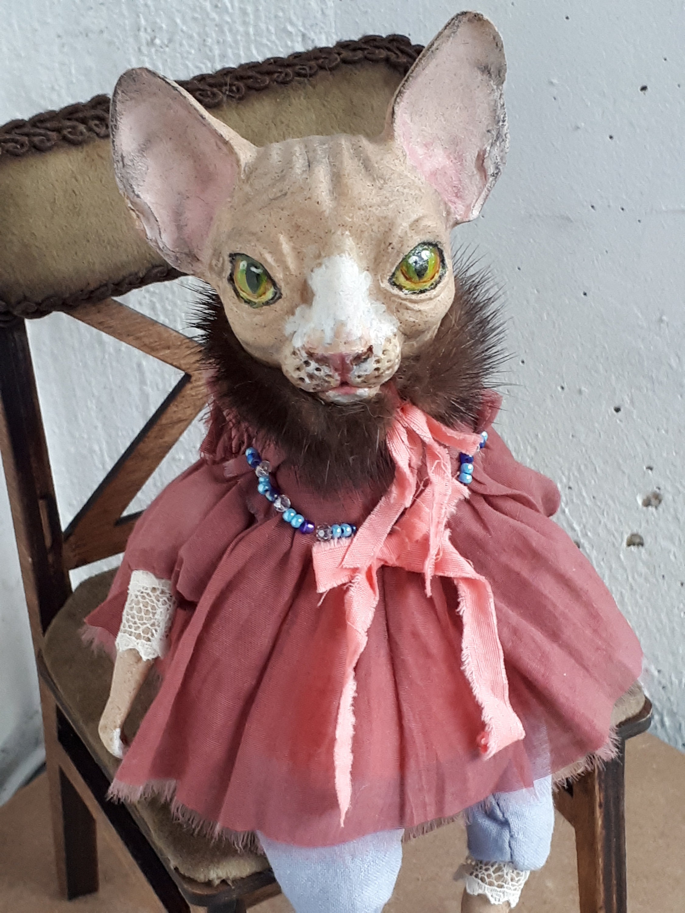 Kitty-sphynx Mon Cher