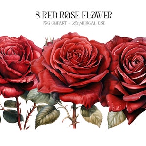 8 Red Rose Flower Watercolor Clipart, Spring flowers clipart, Roses Bundle, Rose clipart set, Paper craft - Junk Journal, Scrapbooking