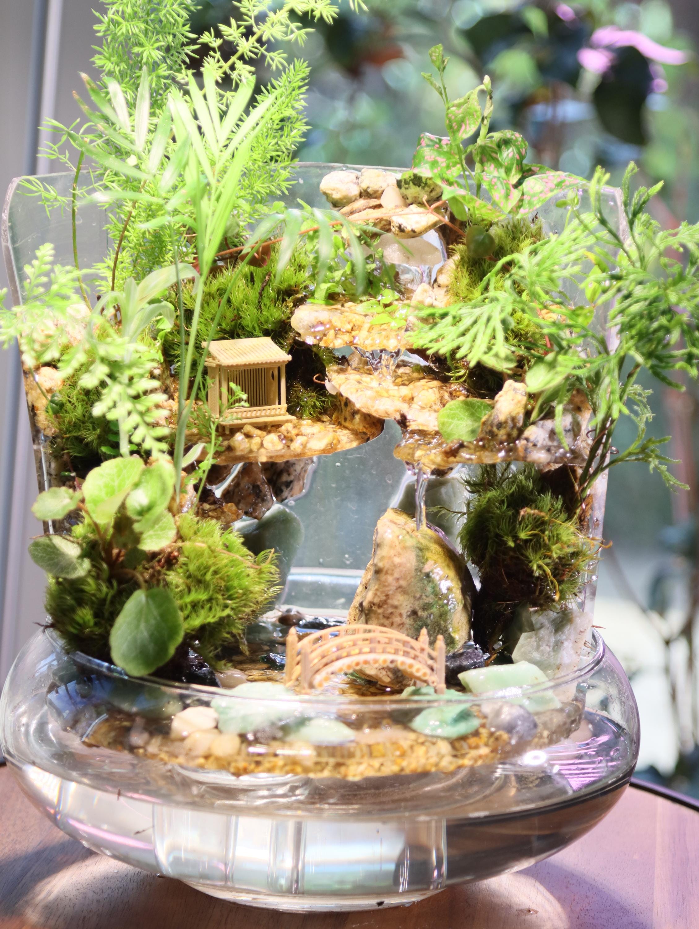Handmade Indoor Waterfall Fountain: Zen Garden With Live Plants - Etsy