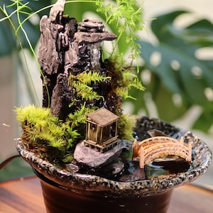 Op de afbeelding: Een miniatuur zen-tuin met een waterval, een klein huis, een brug en mos dat op rotsen groeit in een aardewerken pot.