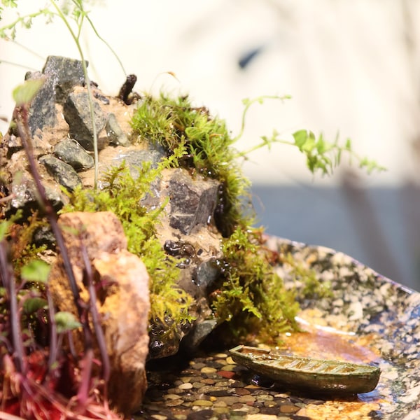 Live Plant Mini Waterfall Lake Fountain on a Bowl