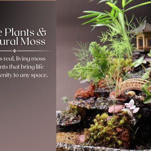 May include: A miniature zen garden with a small wooden bridge, a pagoda, and a variety of green plants and moss. The text "Live Plants & Natural Moss" is displayed above the garden. The text "Includes real, living moss and plants that bring life and serenity to any space." is displayed below the garden.