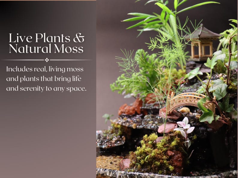 May include: A miniature zen garden with a small wooden bridge, a pagoda, and a variety of green plants and moss. The text "Live Plants & Natural Moss" is displayed above the garden. The text "Includes real, living moss and plants that bring life and serenity to any space." is displayed below the garden.