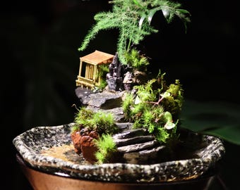 Handmade Mini Waterfall Garden: Live Plant Art, Stone Steps