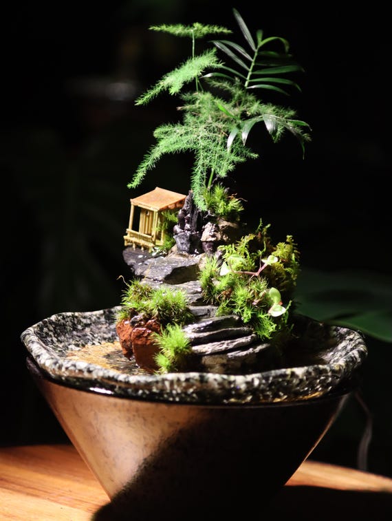 Handmade Mini Waterfall Garden: Live Plant Art, Stone Steps - Etsy