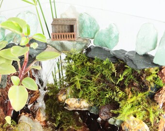 Live Plant Mini Waterfall Table Art, Indoor Garden, Planting Gift, Moss Art, Plant Accent, Desk Decor, Paludarium, Aquarium Decor