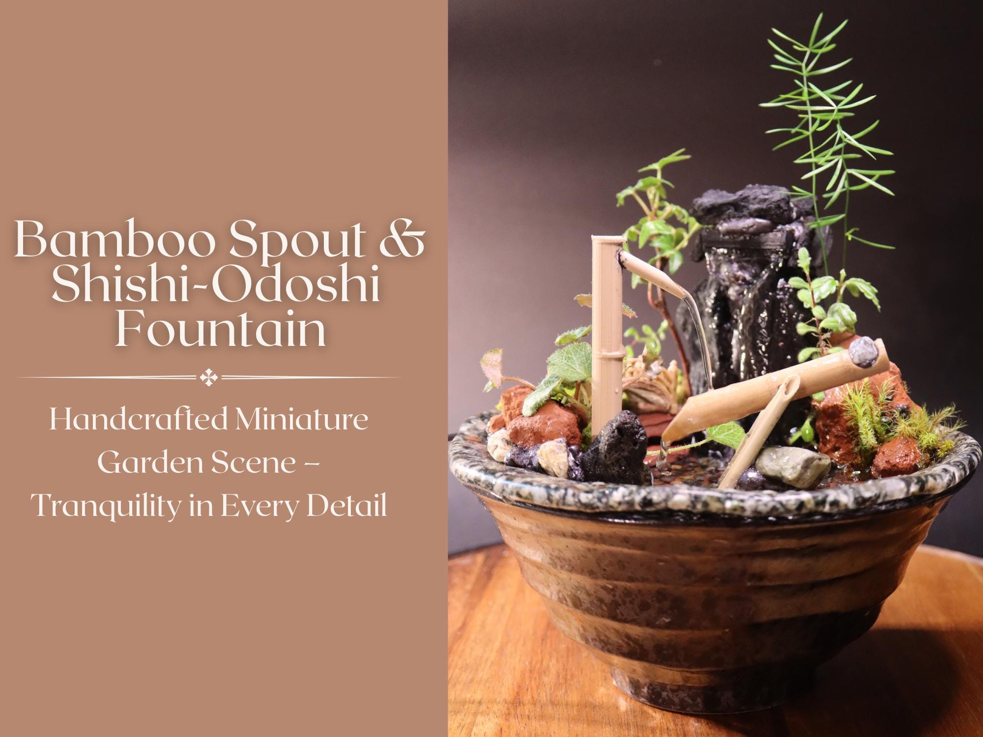 Live Plant Art Water Fountain: Bamboo Spout Shishi-Odoshi Zen Garden