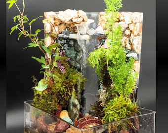 Live Plant Mini Waterfall Table Art, Indoor Garden, Planting Gift, Moss Art, Plant Accent, Desk Decor