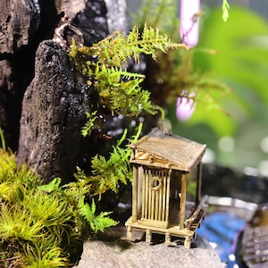 Op de afbeelding: Een klein houten huisje met een rieten dak staat op een rots omringd door groen mos en varens. Het huisje heeft een kleine deur en een raam. De sc&egrave;ne doet denken aan een miniatuurtuin of een fee&euml;ntuin.