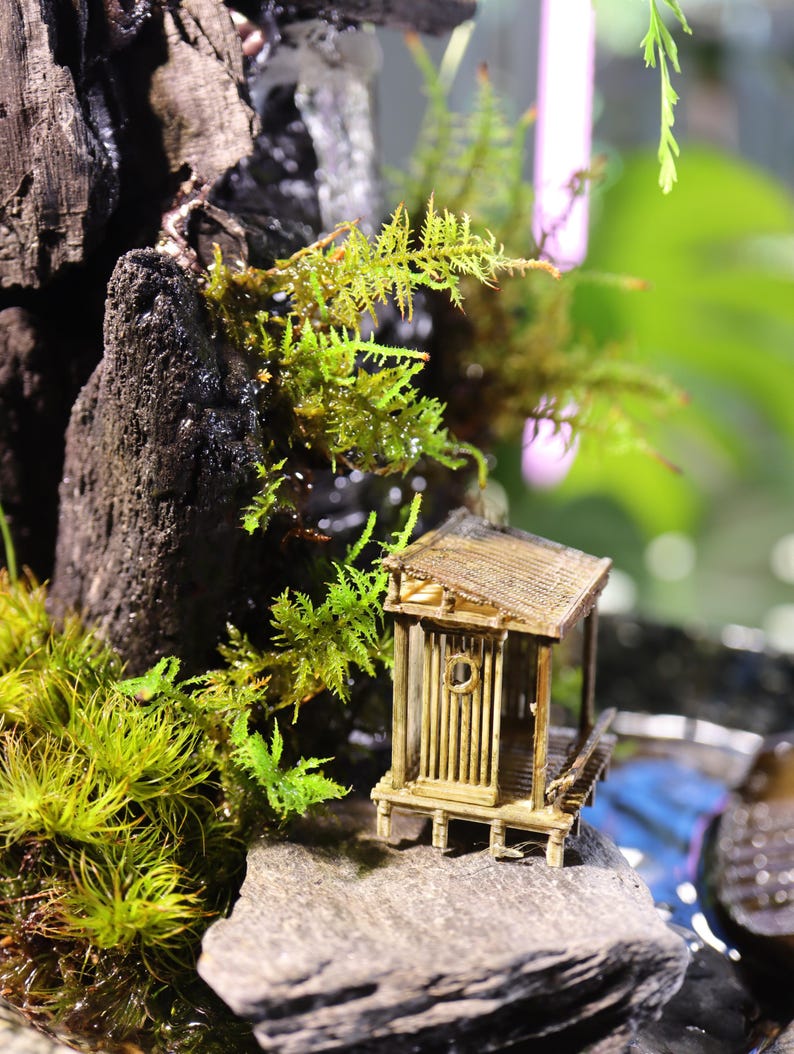 Op de afbeelding: Een klein houten huisje met een rieten dak staat op een rots omringd door groen mos en varens. Het huisje heeft een kleine deur en een raam. De sc&egrave;ne doet denken aan een miniatuurtuin of een fee&euml;ntuin.
