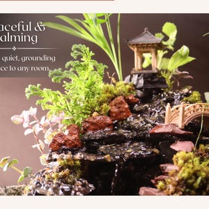 May include: A tabletop zen garden with a small waterfall, a bridge, and a miniature pagoda. The garden is decorated with moss, rocks, and small plants.
