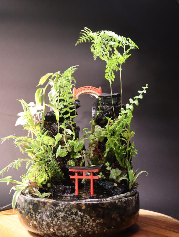 Handmade Desktop Waterfall Fountain: Tranquil Garden With Live Plants - Etsy