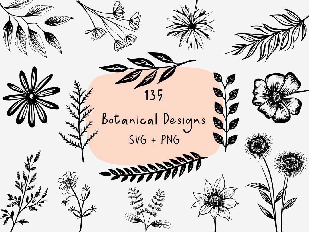 135 Botanical Svg Bundle, Floral Design Clipart, Greenery Plotter ...
