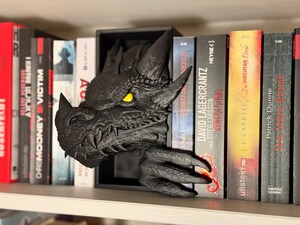 Serre-livres Décoratifs En Forme De Dragon En Résine - Paire De Dragons Combattants - Décoration Bureau Ou Salon