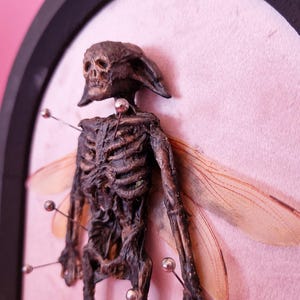Puede incluir: Escultura enmarcada de un hada esquelética con alas de insecto, prendida a un fondo rosa. El hada tiene una cabeza con forma de calavera y los brazos extendidos. El marco es negro.
