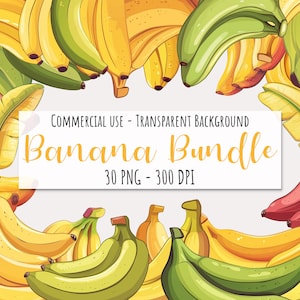 Banane Clipart Bundle 30 PNG Fruits Alimentation saine Nutrition Usage commercial Téléchargement instantané Illustration graphique de haute qualité