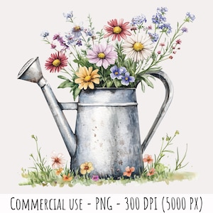 Arrosoir vintage Floral Clipart 1 PNG aquarelle bouquet de fleurs utilisation commerciale Illustration Shabby Chic Cottage botanique Art numérique