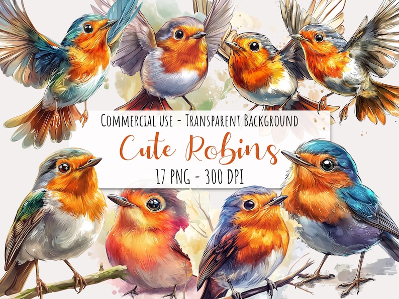 Cute Robin Clipart Bundle 17 PNG Watercolor Bird Commercial Use Instant ...