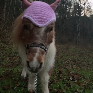 Handmade Mini Horse Ear Bonnets image 3