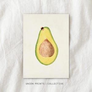 Vintage Watercolour Painting | Avocado Print | Farmhouse Kitchen Wall Art | Digital Download Art Printable | UnionPrintsCo | BO-107
