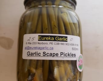 Dilly Garlic Scape Pickles – Handpicked Eureka Garlic Dill Flavor