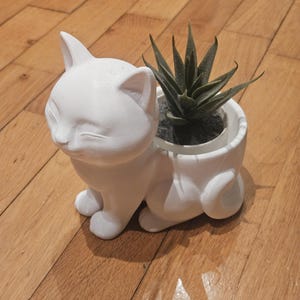 Può includere: Un vaso bianco a forma di gatto con una piccola pianta succulenta. Il gatto ha gli occhi chiusi e le zampe raccolte. Il vaso è appoggiato su una superficie di legno.