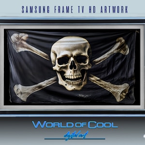 May include: A black and white pirate flag with a skull and crossbones design. The flag is framed in a black and silver frame. The text "WORLD OF COOL digital art" is below the frame.