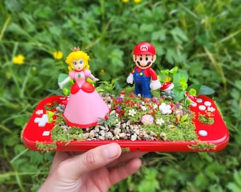 Mario and peach Terrarium
