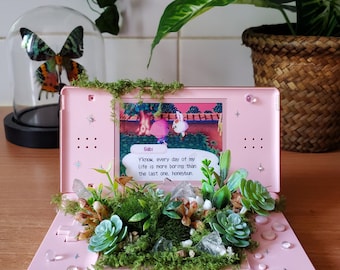 Terrarium Animal crossing ds