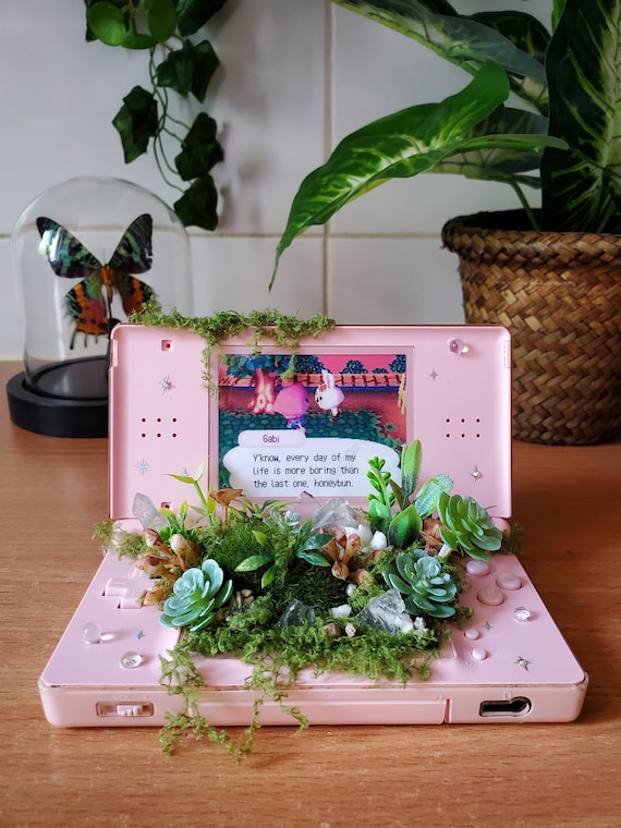 Terrarium Animal crossing ds