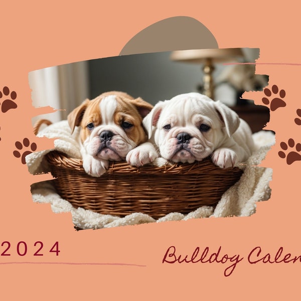 2024 English Bulldog Puppy Calendar