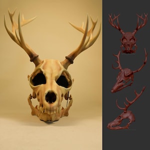May include: A detailed, beige-colored deer skull mask with large antlers. The mask has dark eye sockets and a detailed jawline. Three additional red-brown deer skull models are shown on the right side of the image.