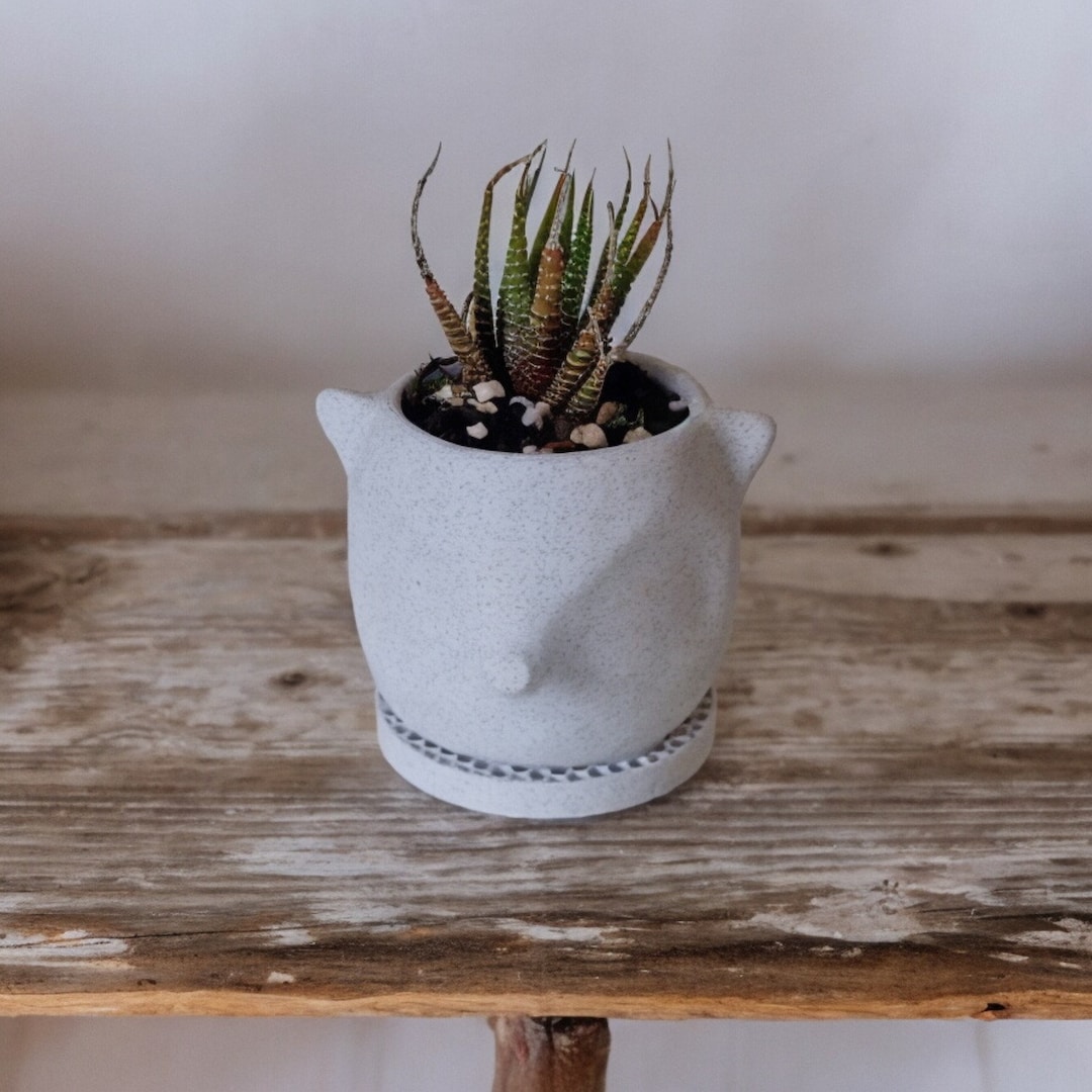 Billy Pot 3D Printed Fox Plant Pot Succulent Pot plant Not Included - Etsy