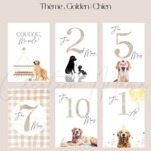 Cartes étapes - Golden (Chien) ; Première Année