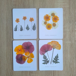 Cartes de voeux "Belles Vacances"