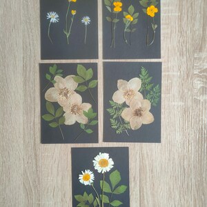 Cartes de voeux naturelles fleurs séchées