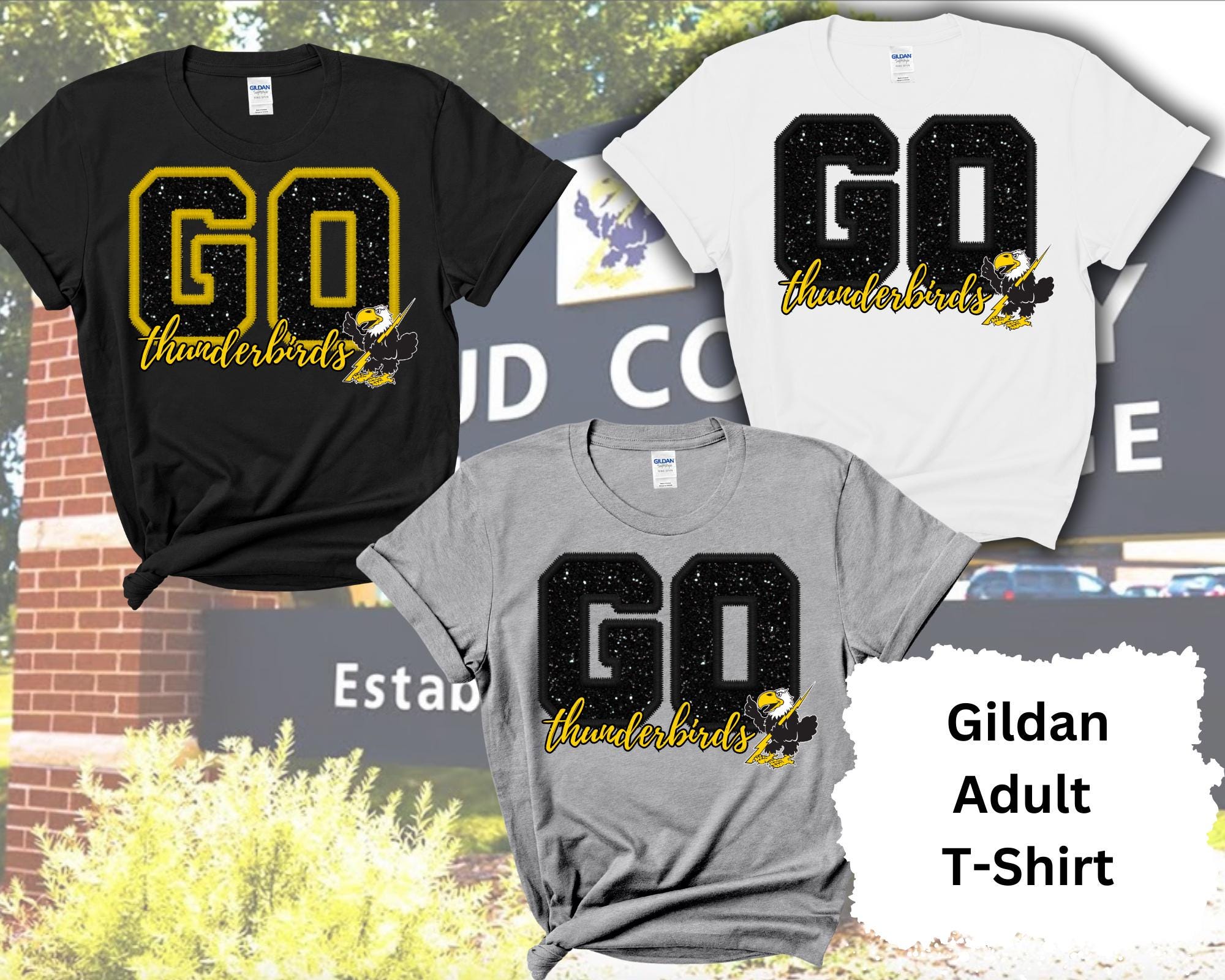 Cloud County Community College Apparel, Sweatshirt, Thunderbirds, Concordia, KS, Staff Gift, Student Gift, Faculty Gift, Faux Embroidery
