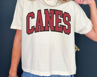 Vintage Carolina Hockey camiseta recortada Hurricanes Camisa Carolina Hockey Camiseta Retro Carolina Canes regalo Comfort Colors Crop Top