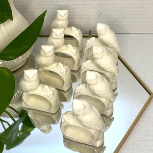 May include: A set of off-white ceramic owl napkin rings. Each ring features a perched owl figurine. The napkin rings are arranged on a mirrored surface, reflecting the owls and the surrounding objects. The set includes a white pitcher and green leaves.